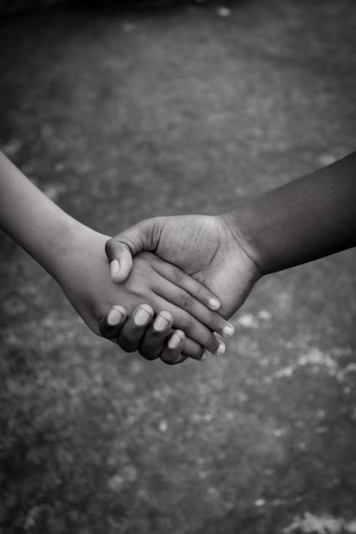 A professional partnership handshake